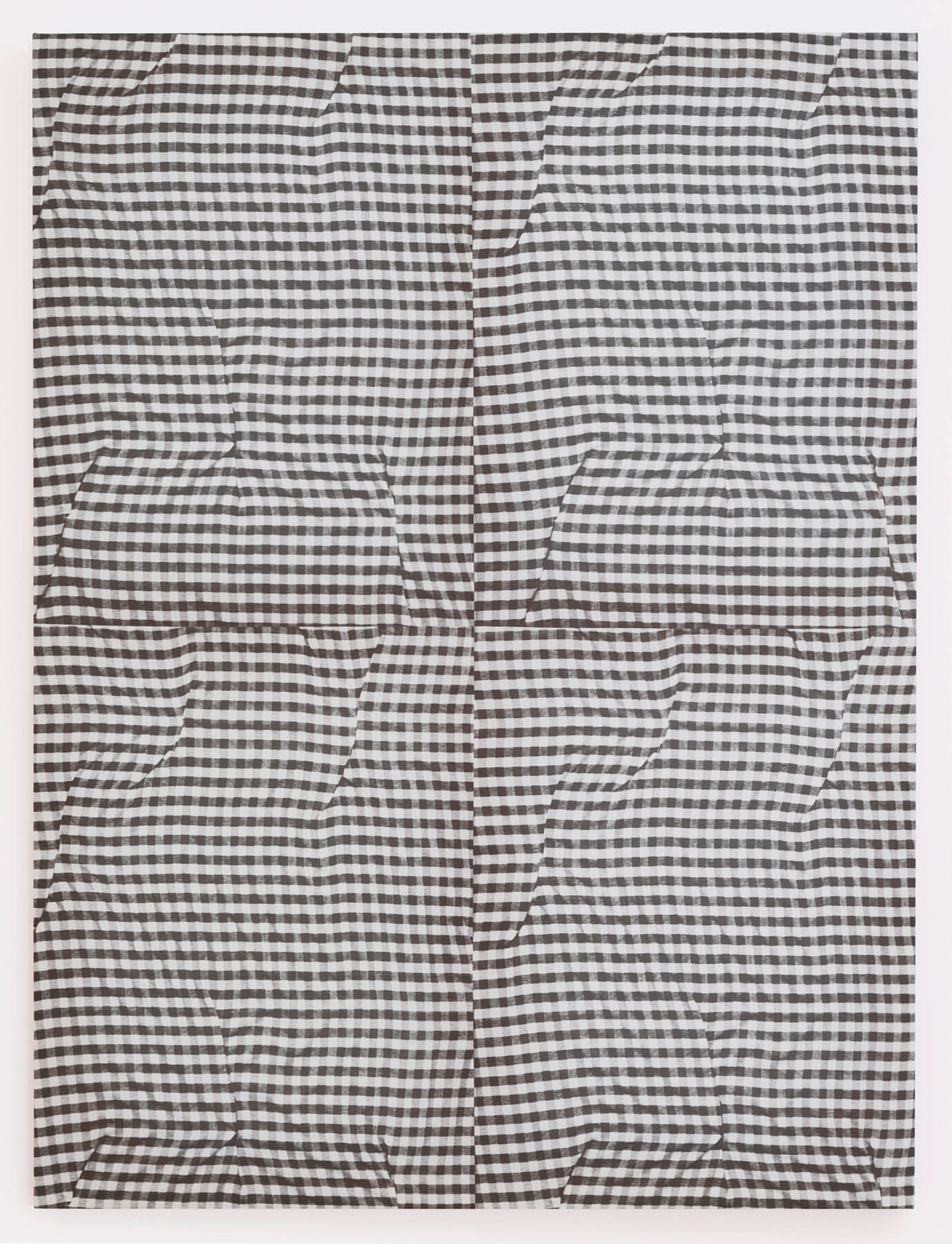 Cheryl Donegan
                                            'Untitled (grey folds)', 2014
                                            48 x 36 Inches
                                            dyed cotton
                                            