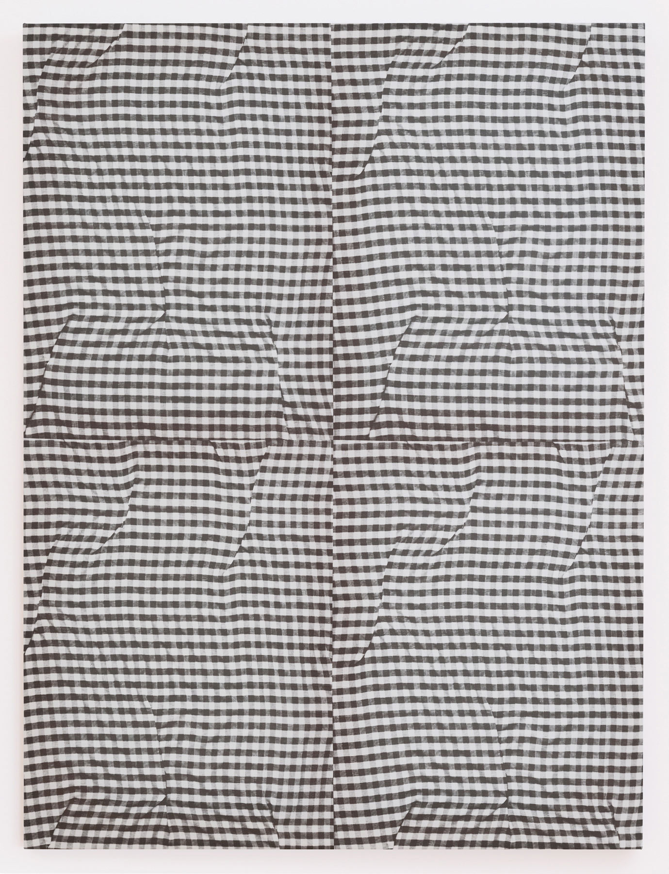 Cheryl Donegan
                                        'Untitled (grey folds)', 2014
                                        48 x 36 Inches
                                        printed cotton
                                        