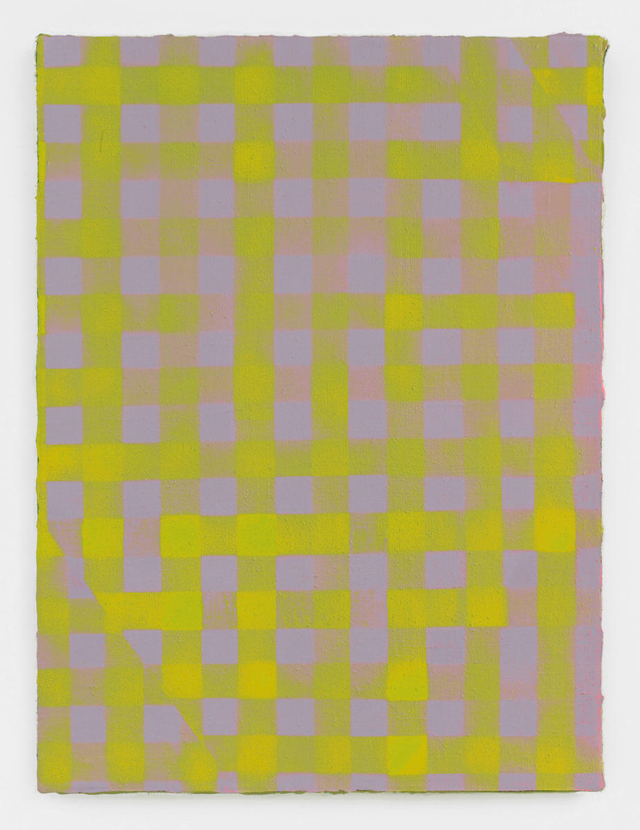 Cheryl Donegan
                                        'Untitled (muave and citron yellow)', 2013
                                        40 x 30 Inches
                                        acrylic on jute
                                        
