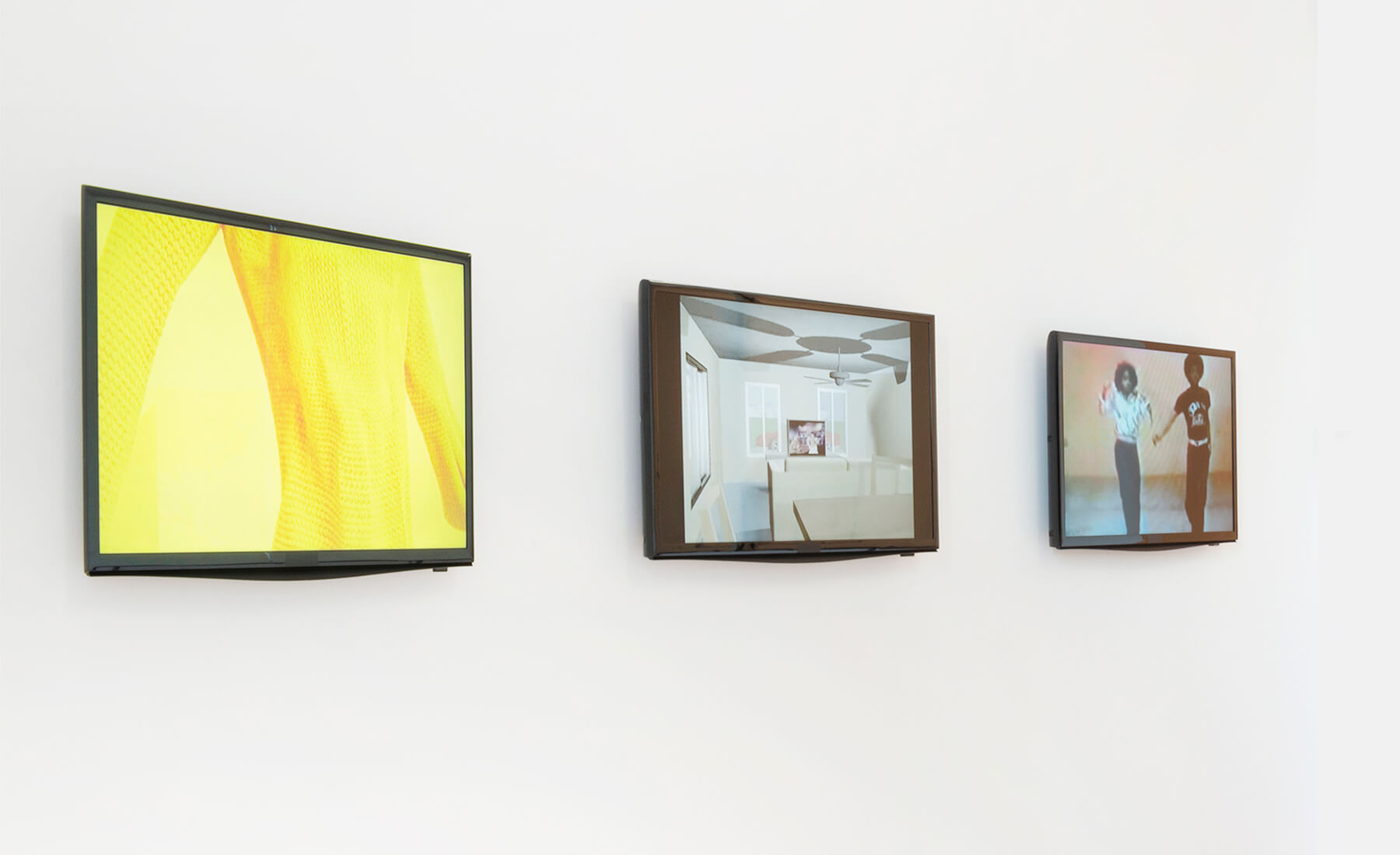 Installation Sgorbati Projects, January 2015
                                      Cheryl Donegan : PAINTINGS AND VIDEOS
                                    